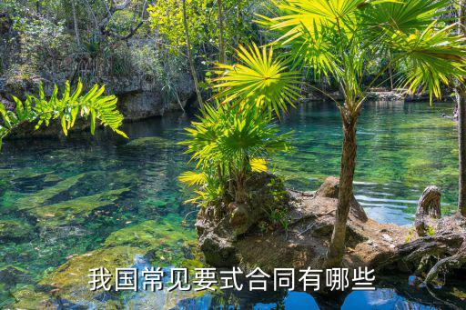 符合國(guó)家法律的合同有哪些，我國(guó)常見要式合同有哪些