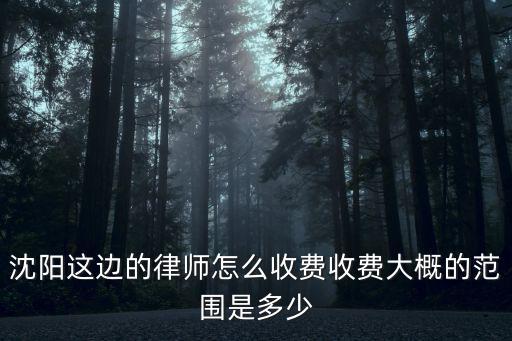 沈陽這邊的律師怎么收費收費大概的范圍是多少