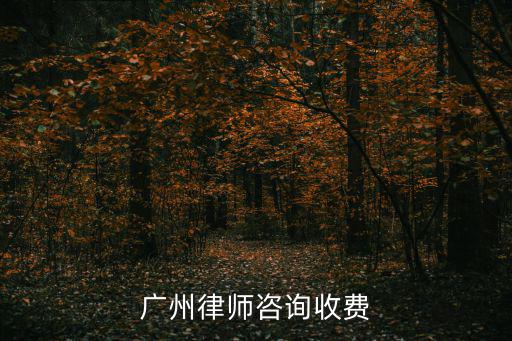 廣州律師咨詢收費
