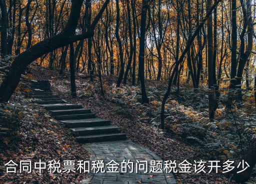 合同中稅票和稅金的問(wèn)題稅金該開(kāi)多少