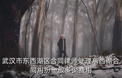 武漢市東西湖區(qū)合同律師處理東西湖合同糾紛一般多少費用