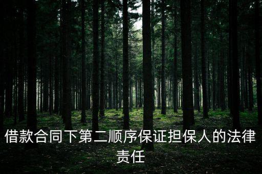 借款合同下第二順序保證擔(dān)保人的法律責(zé)任