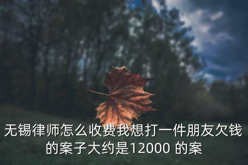 無錫律師怎么收費我想打一件朋友欠錢的案子大約是12000 的案