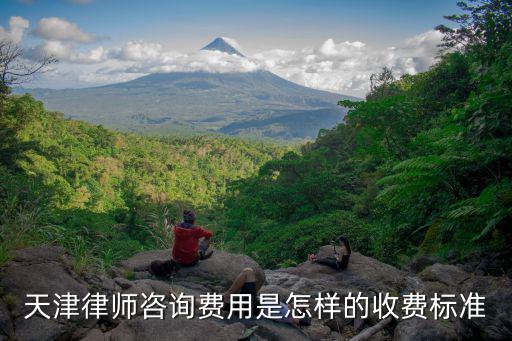 天津律師咨詢(xún)費(fèi)用是怎樣的收費(fèi)標(biāo)準(zhǔn)