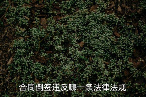 合同倒簽違反哪一條法律法規(guī)