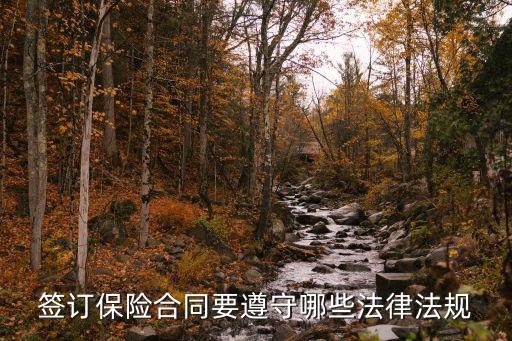 簽訂保險(xiǎn)合同要遵守哪些法律法規(guī)