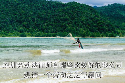 深圳勞動法律師有哪些比較好的我公司想請一個勞動法法律顧問