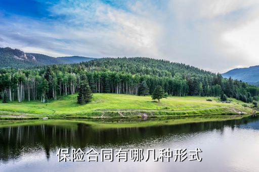 保險(xiǎn)合同有哪幾種形式