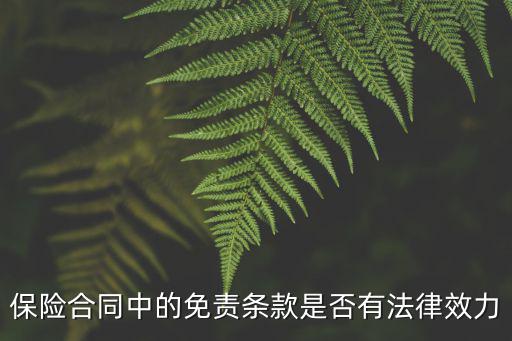 保險(xiǎn)合同中的免責(zé)條款是否有法律效力