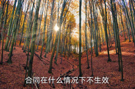 何種情形下合同無(wú)效，什么情況下勞動(dòng)合同無(wú)效