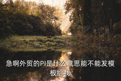 完整的外貿(mào)合同pi范本模板，急啊外貿(mào)的PI是什么意思能不能發(fā)模板給我