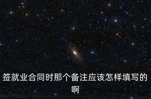 簽就業(yè)合同時那個備注應(yīng)該怎樣填寫的啊