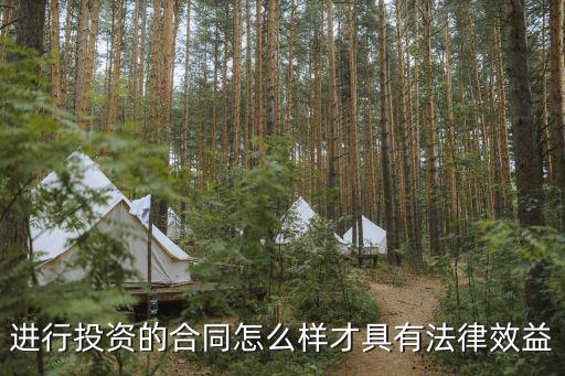 進(jìn)行投資的合同怎么樣才具有法律效益