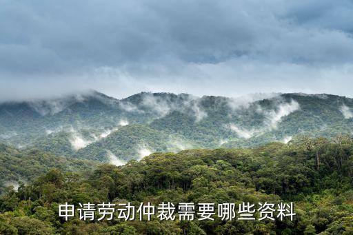 勞動(dòng)仲裁需要提供哪些資料，勞動(dòng)仲裁需要什么材料