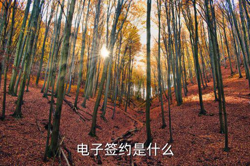 電子簽約是什么