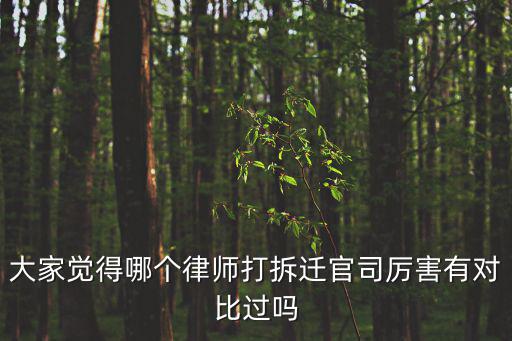 大家覺得哪個(gè)律師打拆遷官司厲害有對(duì)比過嗎