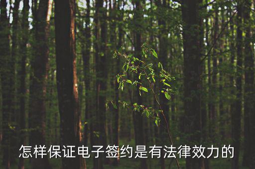 電子合同怎么簽有法律效力，電子合同怎么簽才是合法的
