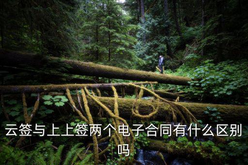 云簽與上上簽兩個電子合同有什么區(qū)別嗎