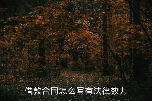 借款合同怎么寫有法律效力