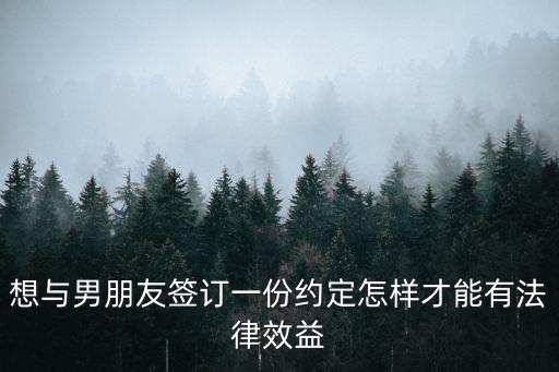 想與男朋友簽訂一份約定怎樣才能有法律效益