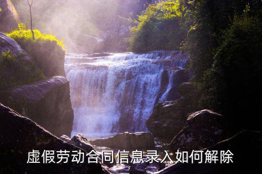 虛假勞動合同信息錄入如何解除