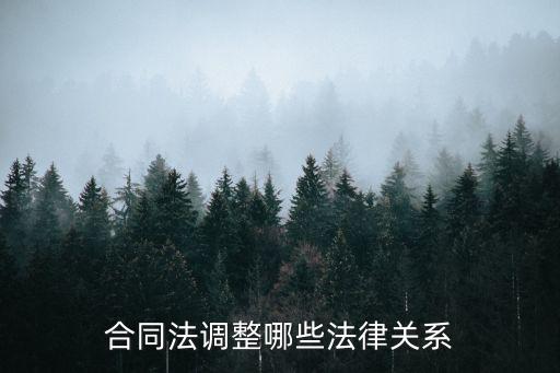 合同法調(diào)整哪些法律關(guān)系