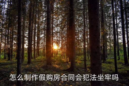 怎么制作假購房合同會(huì)犯法坐牢嗎