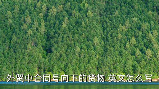 合同號英文，船公司的合約號用英語怎么說 很急 謝謝了