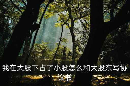 我在大股下占了小股怎么和大股東寫協(xié)議書