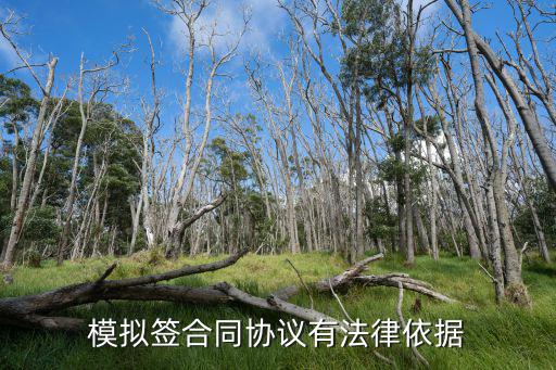 模擬簽合同協(xié)議有法律依據(jù)