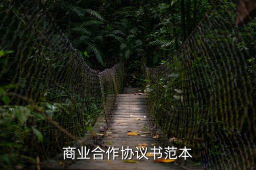 商業(yè)合作協(xié)議書范本