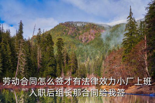 勞動(dòng)合同怎么簽才有法律效力小廠上班入職后組長那合同給我簽