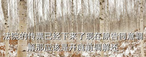 法院的傳票已經下來了現在原告同意調解那應該是開庭前調解還