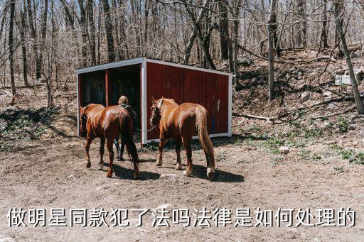做明星同款犯了法嗎法律是如何處理的