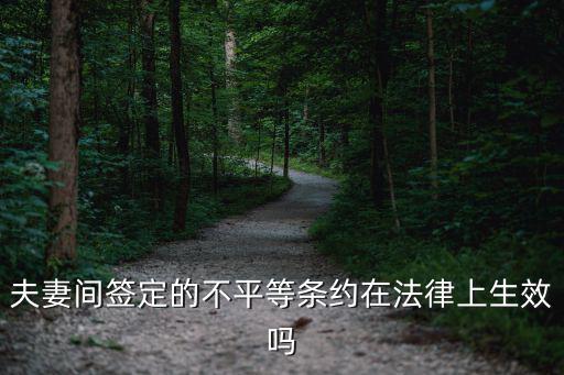不平等合同在法律上生效嗎，合同中的不平等條約有效嗎