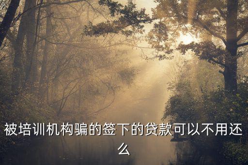 被培訓機構(gòu)騙的簽下的貸款可以不用還么