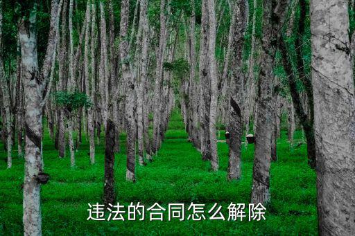 被罰款怎么解除合同呢法律，觸犯法律怎么解除勞動合同
