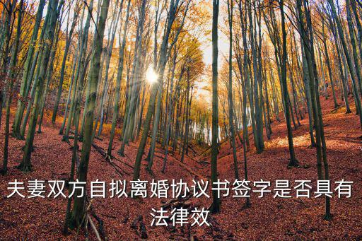 夫妻雙方自擬離婚協(xié)議書簽字是否具有法律效