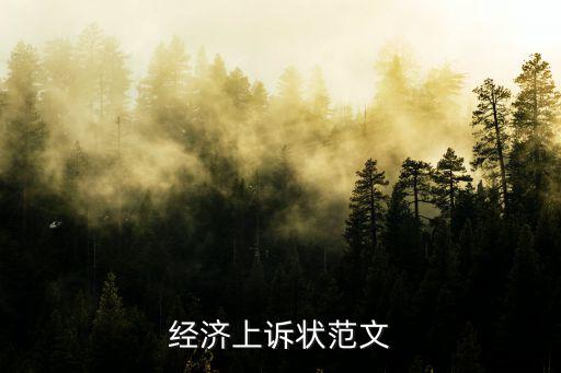 經(jīng)濟(jì)上訴狀范文