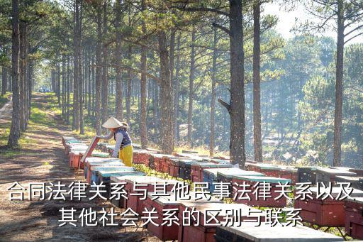 合同法律關(guān)系怎么填寫范本，合同書怎么寫才具有法律