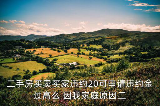 二手房買賣買家違約20可申請違約金過高么 因我家庭原因二