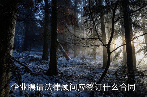 企業(yè)聘請(qǐng)法律顧問(wèn)應(yīng)簽訂什么合同