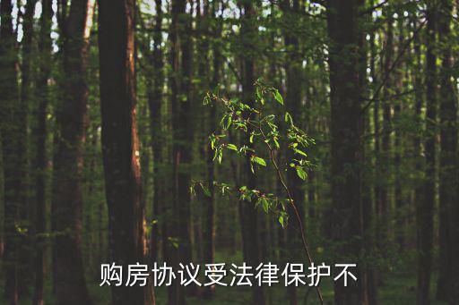 購房協(xié)議受法律保護不