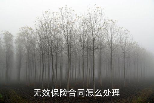 無效保險合同怎么處理
