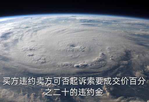 買方違約賣方可否起訴索要成交價百分之二十的違約金