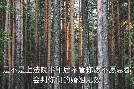 是不是上法院半年后不管你愿不愿意都會判你們的婚姻無效