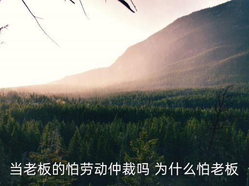 私人老板為什么不怕勞動(dòng)仲裁，當(dāng)老板的怕勞動(dòng)仲裁嗎 為什么怕老板