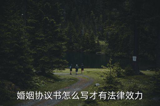 婚姻協(xié)議書怎么寫才有法律效力