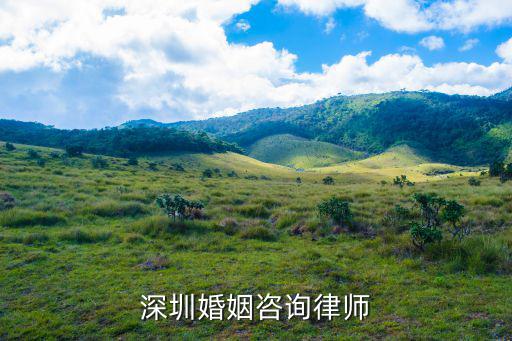 深圳婚姻咨詢律師