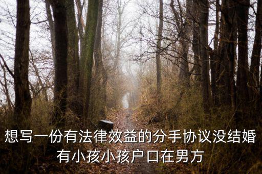 想寫(xiě)一份有法律效益的分手協(xié)議沒(méi)結(jié)婚有小孩小孩戶(hù)口在男方